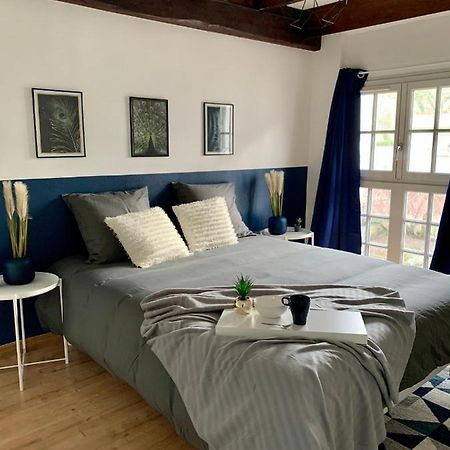 Appartement Les Bleuets - Centre Ville De Saumur Dış mekan fotoğraf