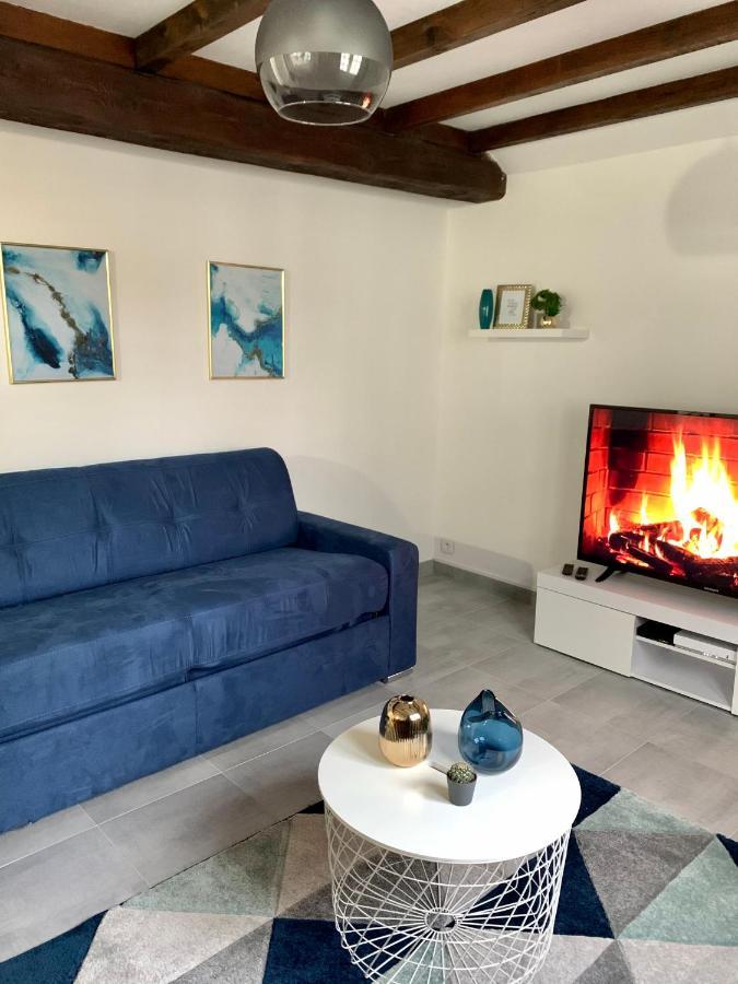Appartement Les Bleuets - Centre Ville De Saumur Dış mekan fotoğraf